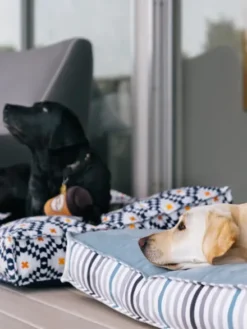 Peluche pour chien - Pup Cup Café - Latte à emporter ☕ - Pet PLAY