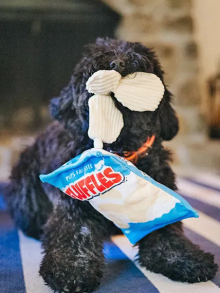 Peluche pour chien Snack Attack - Chips 🍠 - Pet PLAY