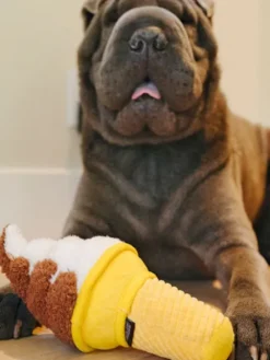 Peluche pour chien Snack Attack - Glace 🍦 - Pet PLAY