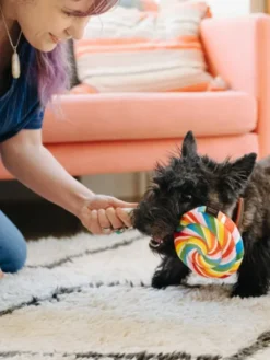 Peluche pour chien Snack Attack - Sucette 🍭 - Pet PLAY