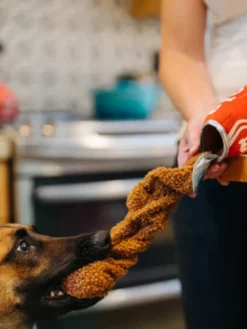 Peluche pour chien Snack Attack - Cola 🥤 - Pet PLAY