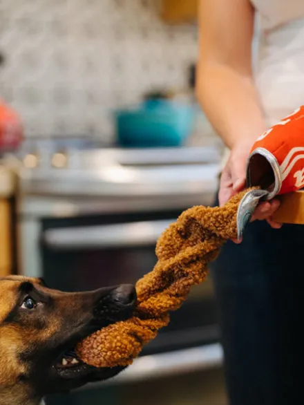 Peluche pour chien Snack Attack - Cola 🥤 - Pet PLAY