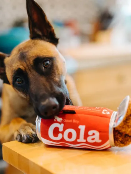 Peluche pour chien Snack Attack - Cola 🥤 - Pet PLAY
