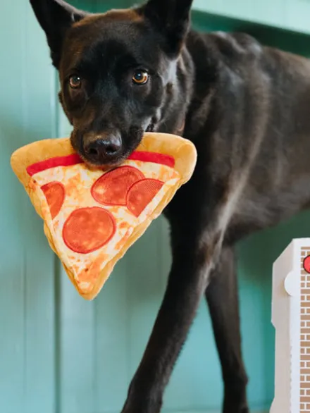 Peluche pour chien Snack Attack - Pizza 🍕 - Pet PLAY