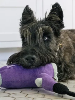 Peluche pour chien - Splish Splash - Howlin’ Hair Dryer 💇 - Pet PLAY