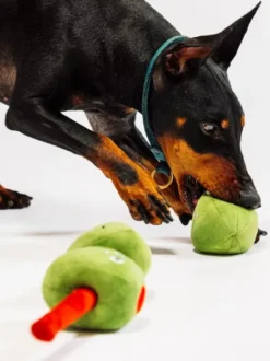 Peluche pour chien - Wine Bar Olives 🫒 - Pet PLAY