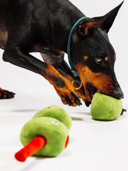 Peluche pour chien - Wine Bar Olives 🫒 - Pet PLAY