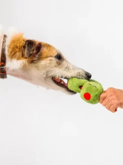 Peluche pour chien - Wine Bar Olives 🫒 - Pet PLAY