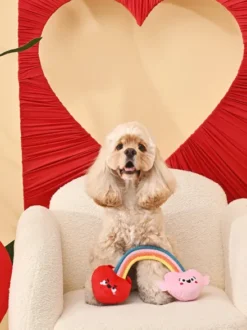 Peluche pour chien - Woof Love Coeur Arc en ciel 🌈❤️ - HugSmart