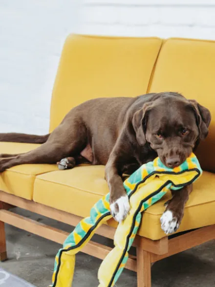 Peluche résistante pour chien - Invicibles Snake XXL - Outward Hound