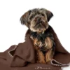 Plaid couverture XL pour chien - Marron - Hunter