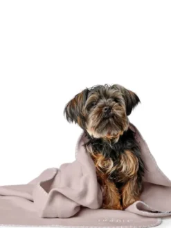 Plaid couverture XL pour chien - Crème - Hunter