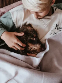 Plaid couverture XL pour chien - Crème - Hunter