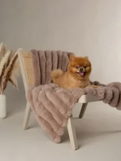 Plaid en fausse fourrure pour chien et chat - Aspen - Scruffs