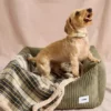 Plaid pour chien - Tartan beige et sherpa - Cafide