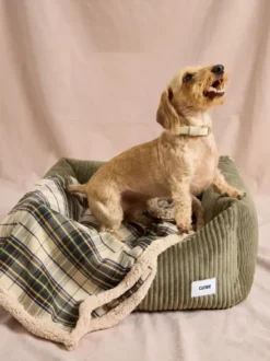 Plaid pour chien - Tartan beige et sherpa - Cafide