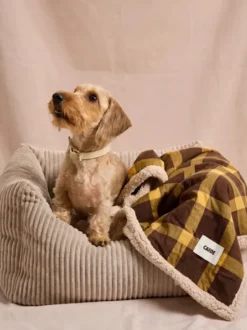 Plaid pour chien - Tartan moutarde et sherpa - Cafide