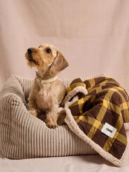 Plaid pour chien - Tartan moutarde et sherpa - Cafide