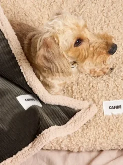 Plaid pour chien - Velours vert et sherpa - Cafide