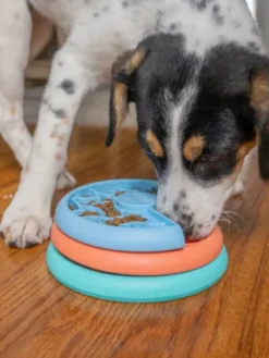 Plateau d'enrichissement et de léchage - Puppy Lickin' Layers