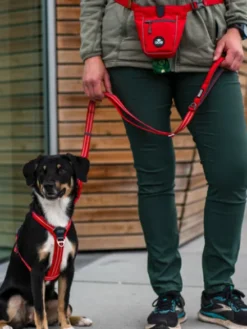 Pochette à friandises pour chien - Go Explore Rouge - Dog Copenhagen