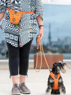 Pochette à friandises pour chien - Go Explore Orange - Dog Copenhagen