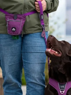 Pochette à friandises pour chien - Go Explore Violet - Dog Copenhagen