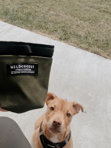 Pochette à friandises pour chien - Wildebeest - Bleu marine