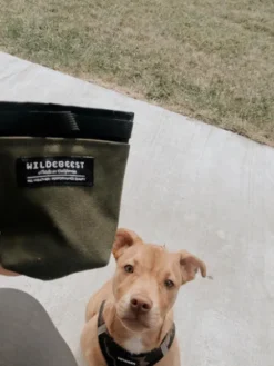 Pochette à friandises pour chien - Wildebeest - Vert