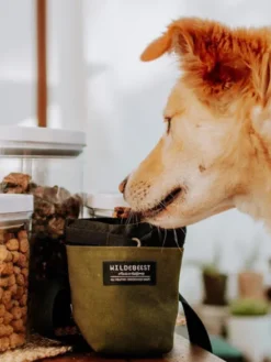 Pochette à friandises pour chien - Wildebeest - Vert