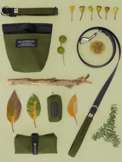 Pochette à friandises pour chien - Wildebeest - Vert