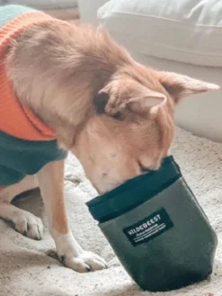 Pochette à friandises pour chien - Wildebeest - Vert