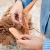 Pochette à friandises pour chien en silicone - Chai - Shop Sunny Tails