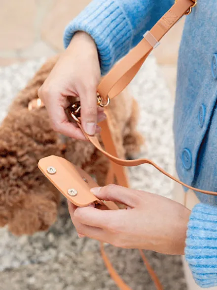 Pochette à friandises pour chien en silicone - Chai - Shop Sunny Tails