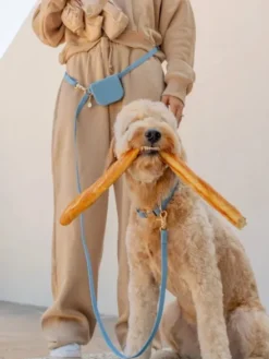 Pochette à friandises pour chien en silicone - Bleu Pastel - Shop Sunny Tails