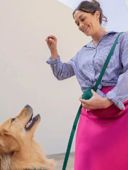 Pochette à friandises pour chien en silicone - Vert Forêt - Shop Sunny Tails