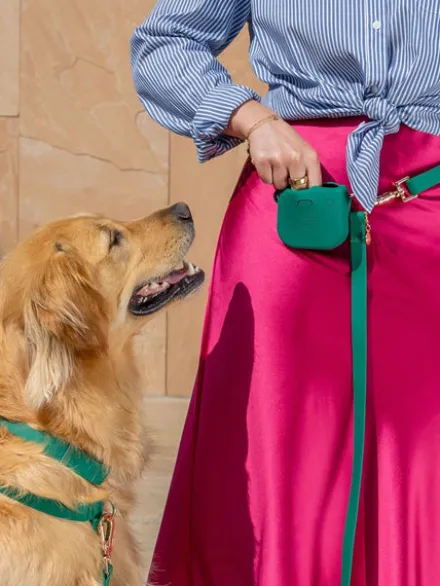 Pochette à friandises pour chien en silicone - Vert Forêt - Shop Sunny Tails