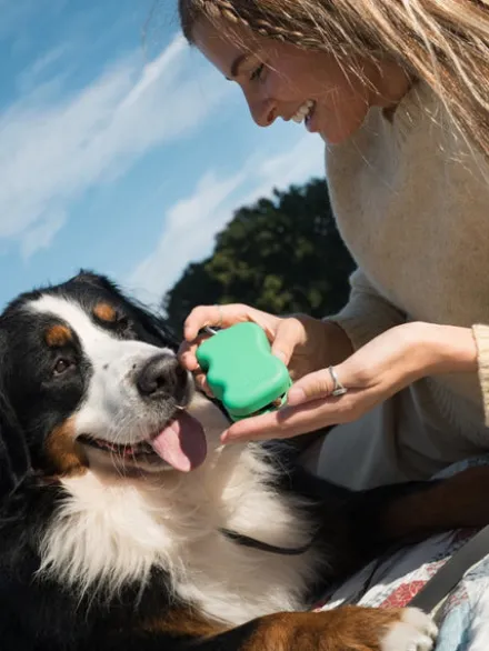 Pochette à friandises pour chien en silicone - Noir - Springer