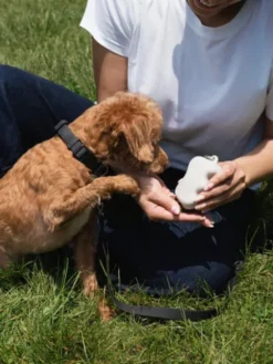 Pochette à friandises pour chien en silicone - Avoine - Springer