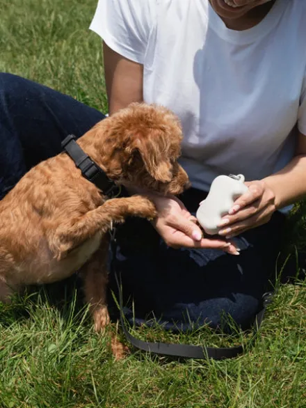 Pochette à friandises pour chien en silicone - Avoine - Springer