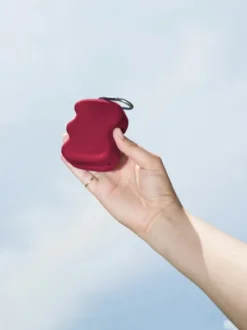 Pochette à friandises pour chien en silicone - Mûre - Springer