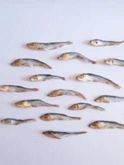 Poisson séché pour chien - Hareng