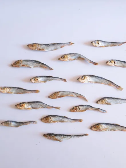 Poisson séché pour chien - Hareng