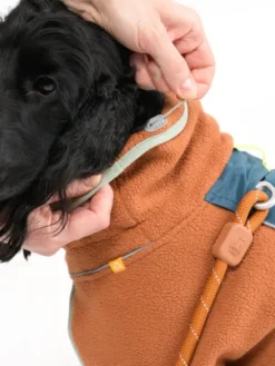 Polaire pour chien - Alpha 360 Fleece Pullover Terracotta Mix - Woolly Wolf