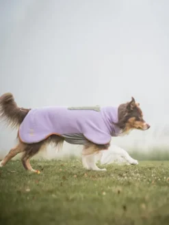 Polaire pour chien - Alpha 360 Fleece Pullover Lavender Mix - Woolly Wolf