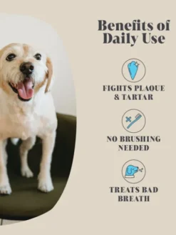 Poudre de anti plaque 🦷 pour chien - Hackney Dog House