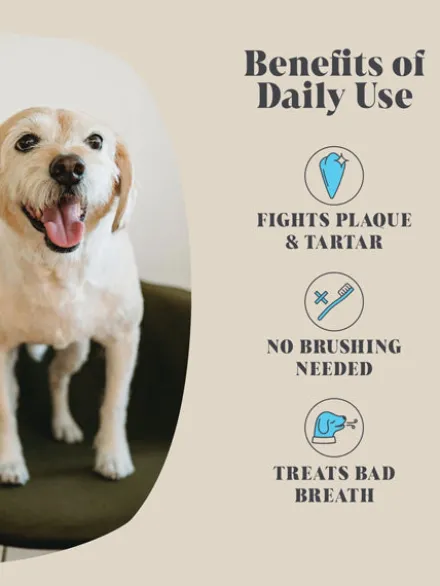 Poudre de anti plaque 🦷 pour chien - Hackney Dog House