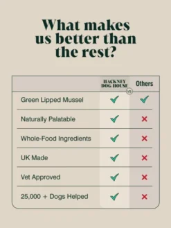Poudre de Moules vertes 🦴 pour chien - Hackney Dog House
