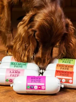 Pâtée naturelle pour chien - Canard 🦆 - JR Pet Products