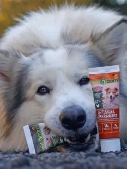 Pâté en tube pour chien avec 90% de viande de Porc 🐖 - WildBorn